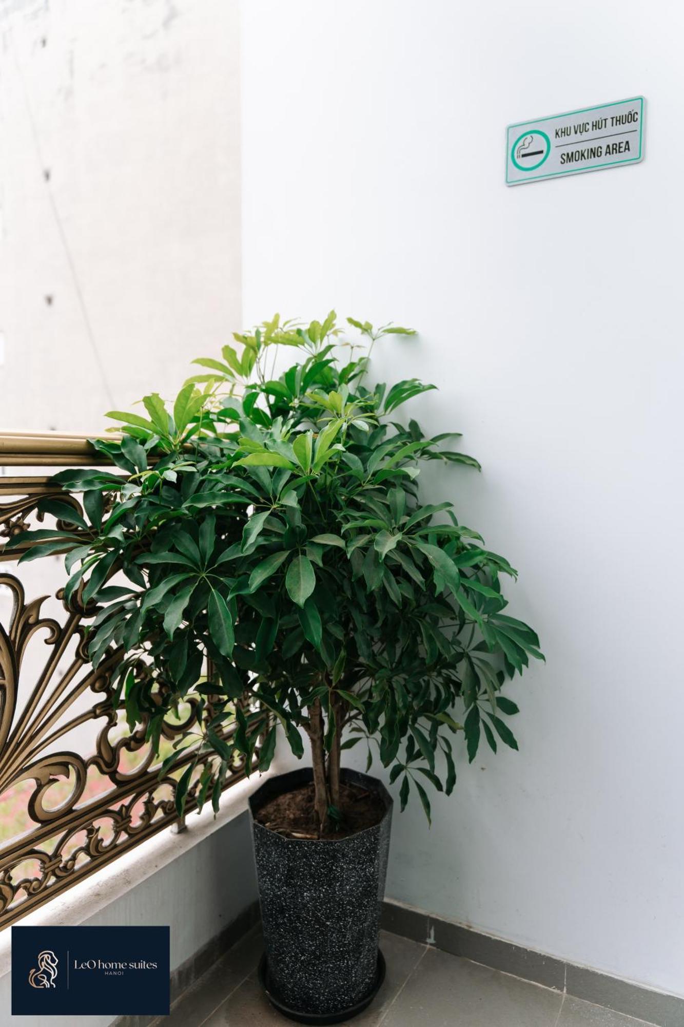 Home Suites -Natural Light -Projector -Spacious - 2Br Incenter Hanoi Exterior photo